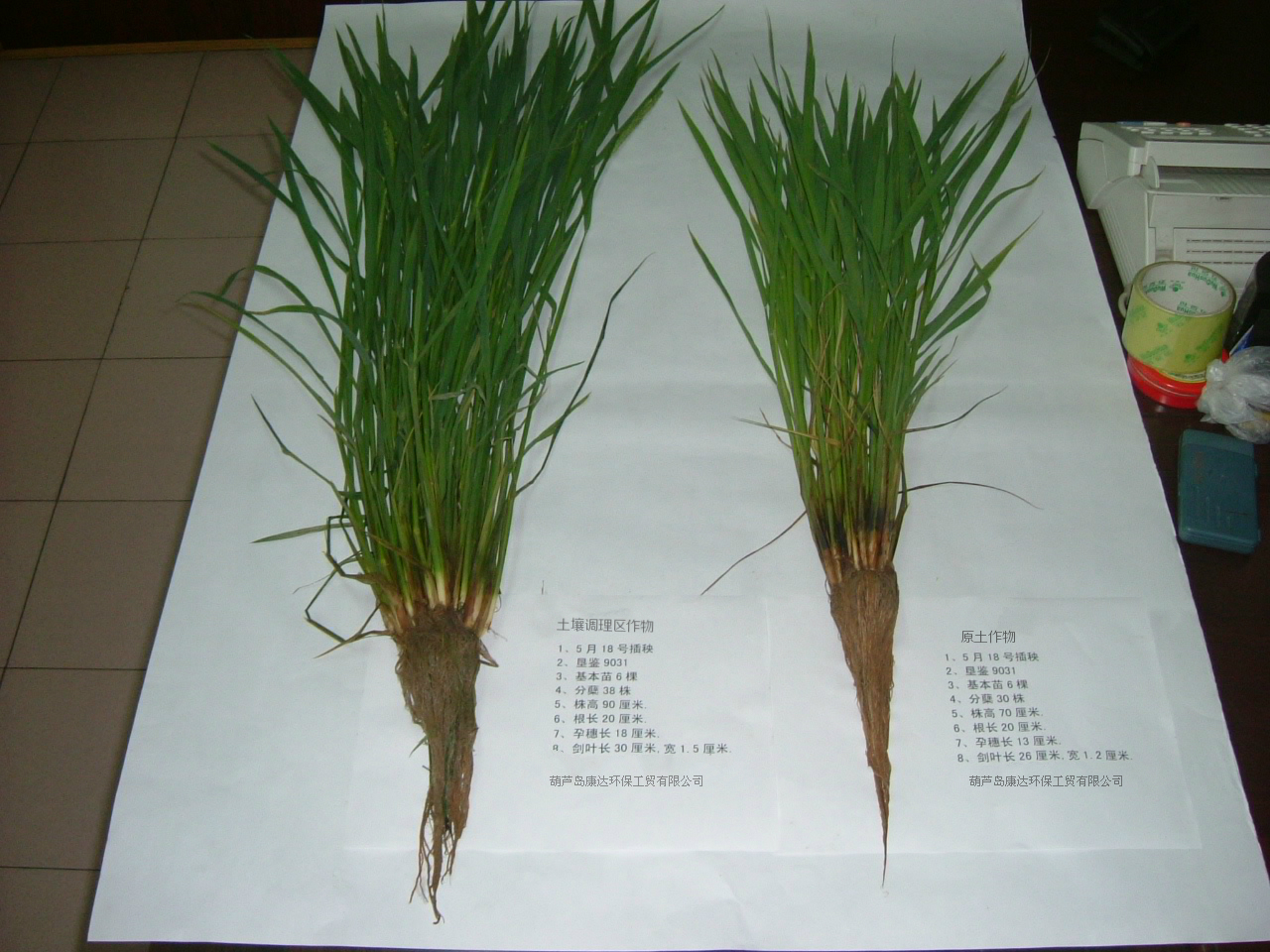 農(nóng)作物土壤修復(fù)調(diào)理系列